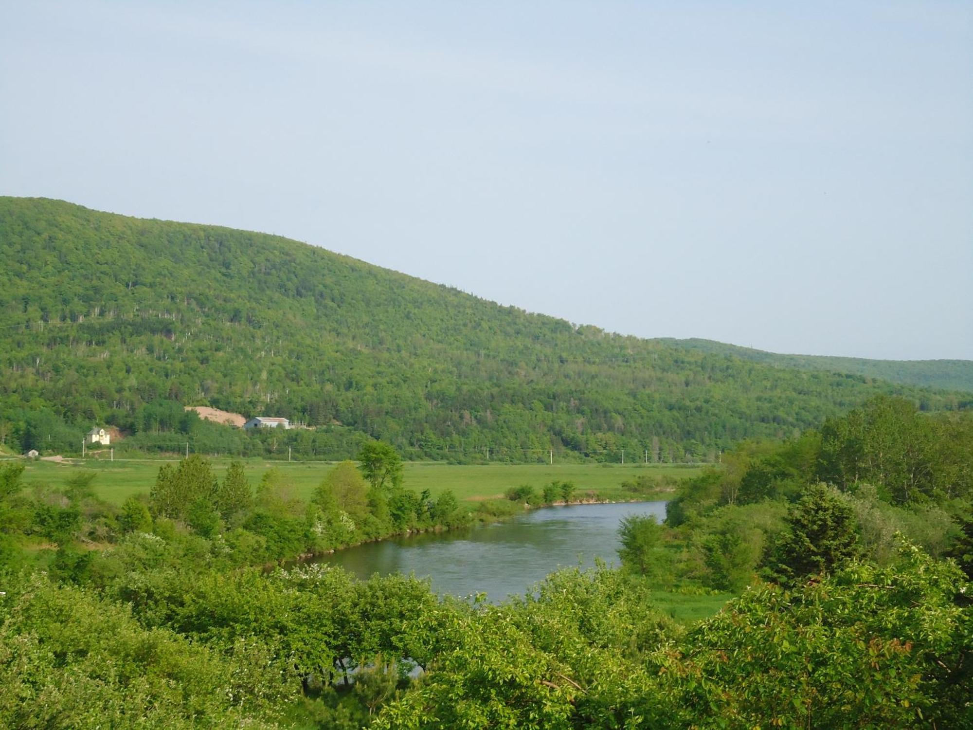 Cajun Cedar Log Cottages Margaree Forks Extérieur photo