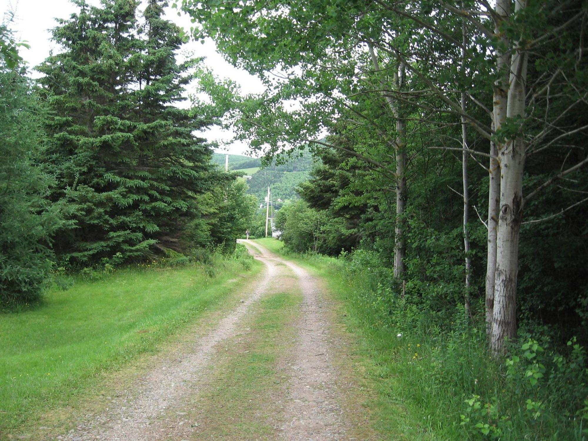 Cajun Cedar Log Cottages Margaree Forks Extérieur photo