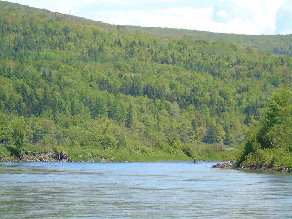 Cajun Cedar Log Cottages Margaree Forks Extérieur photo