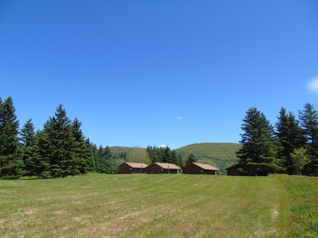 Cajun Cedar Log Cottages Margaree Forks Extérieur photo