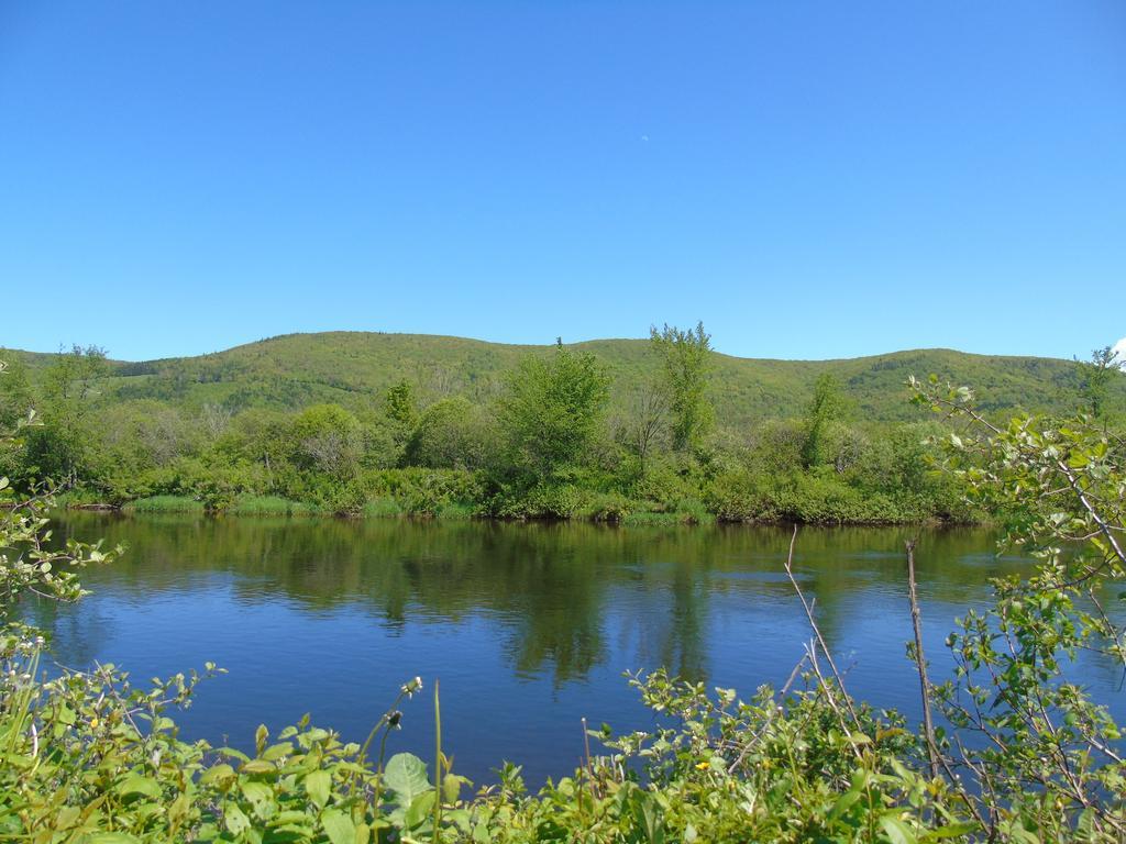 Cajun Cedar Log Cottages Margaree Forks Extérieur photo