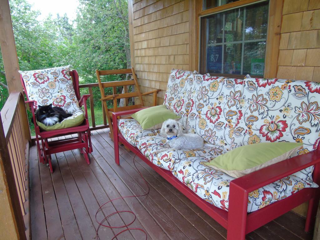 Cajun Cedar Log Cottages Margaree Forks Extérieur photo