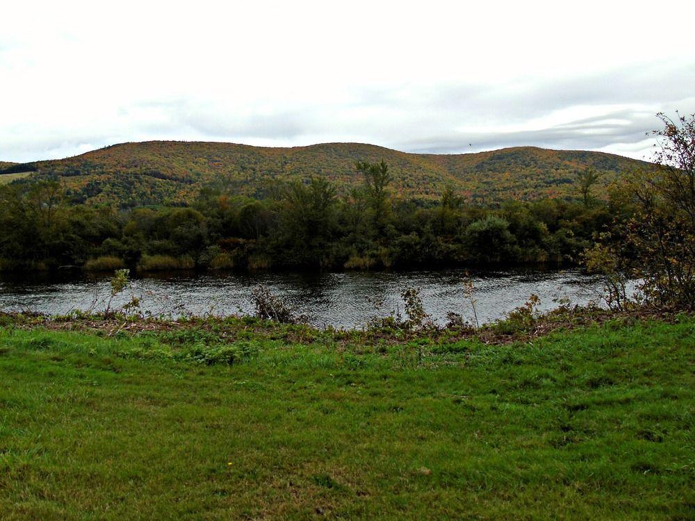 Cajun Cedar Log Cottages Margaree Forks Extérieur photo