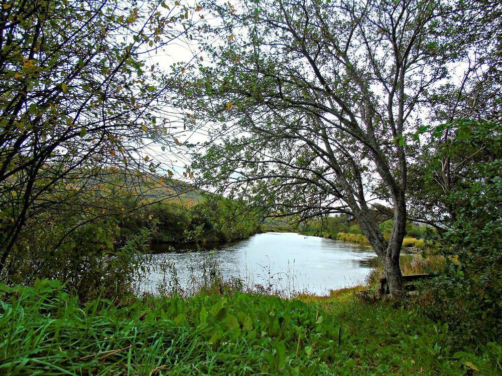 Cajun Cedar Log Cottages Margaree Forks Extérieur photo
