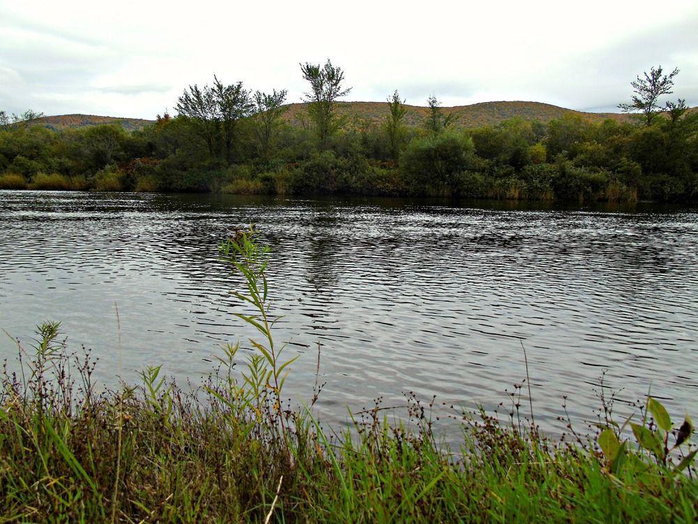 Cajun Cedar Log Cottages Margaree Forks Extérieur photo