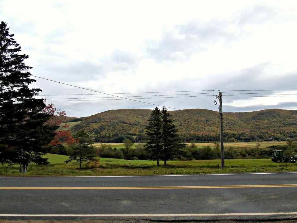 Cajun Cedar Log Cottages Margaree Forks Extérieur photo