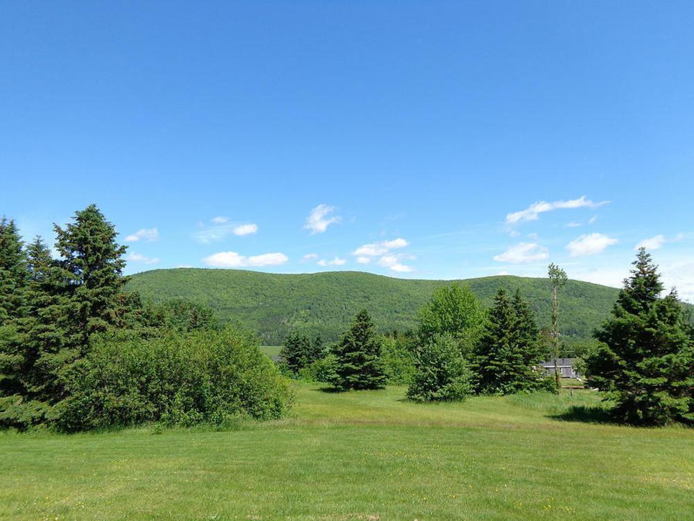 Cajun Cedar Log Cottages Margaree Forks Extérieur photo