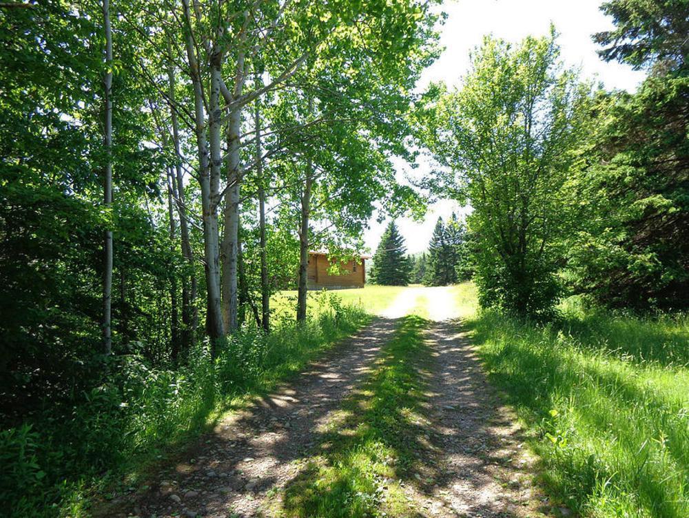 Cajun Cedar Log Cottages Margaree Forks Extérieur photo