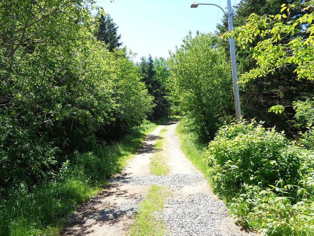 Cajun Cedar Log Cottages Margaree Forks Extérieur photo