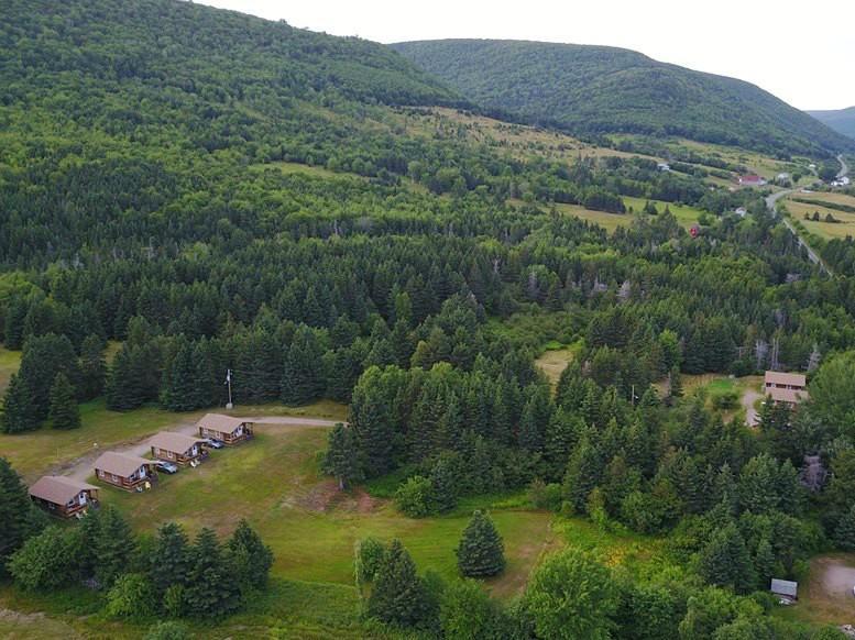 Cajun Cedar Log Cottages Margaree Forks Extérieur photo
