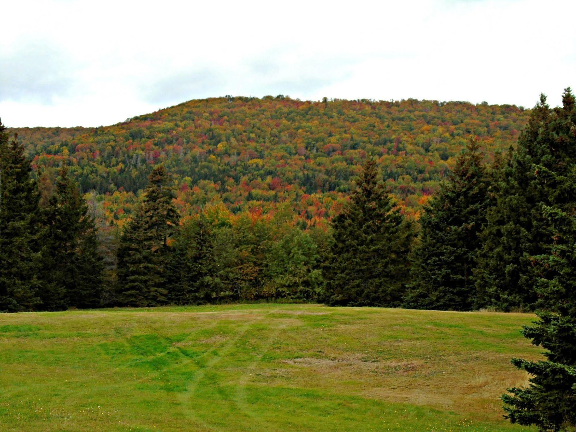 Cajun Cedar Log Cottages Margaree Forks Extérieur photo